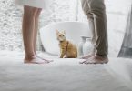 préparer le divorce