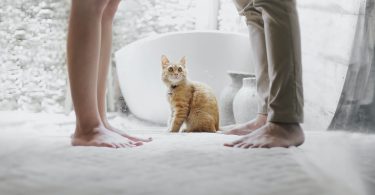 préparer le divorce